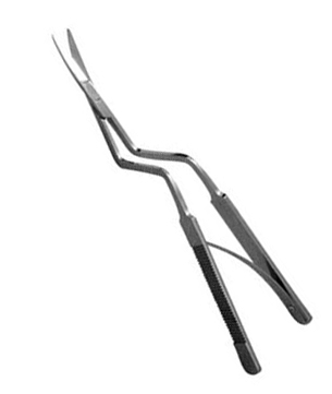 Spring Scissors